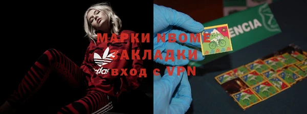 ПСИЛОЦИБИНОВЫЕ ГРИБЫ Арсеньев