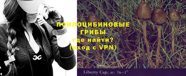 дживик Аркадак