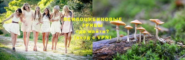 ПСИЛОЦИБИНОВЫЕ ГРИБЫ Арсеньев