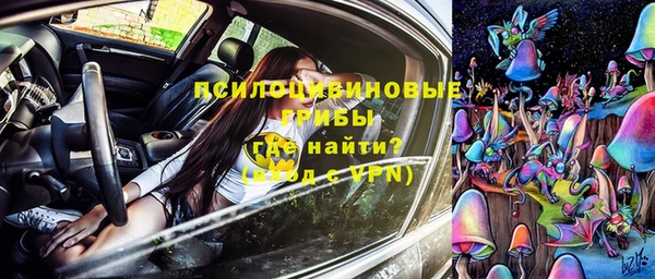 дживик Аркадак