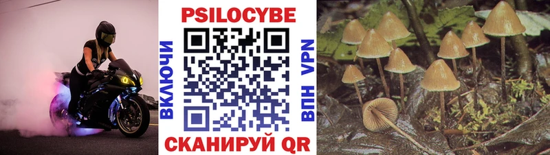 Псилоцибиновые грибы Psilocybine cubensis  Купить закладки  Беслан 
